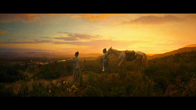 image11.GIF
