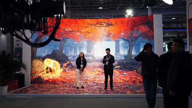 image5.GIF