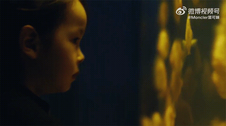1777532830634832.gif