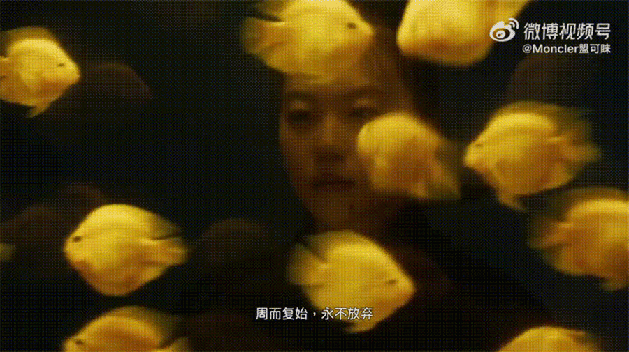 5.gif